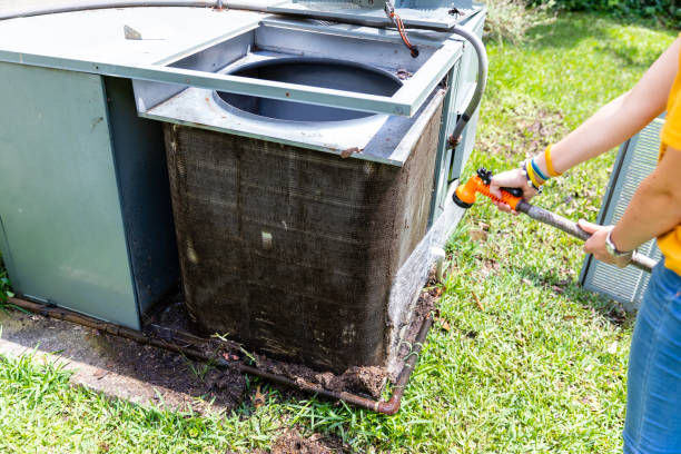 Best Air Duct Mold Removal  in Burlington, ND